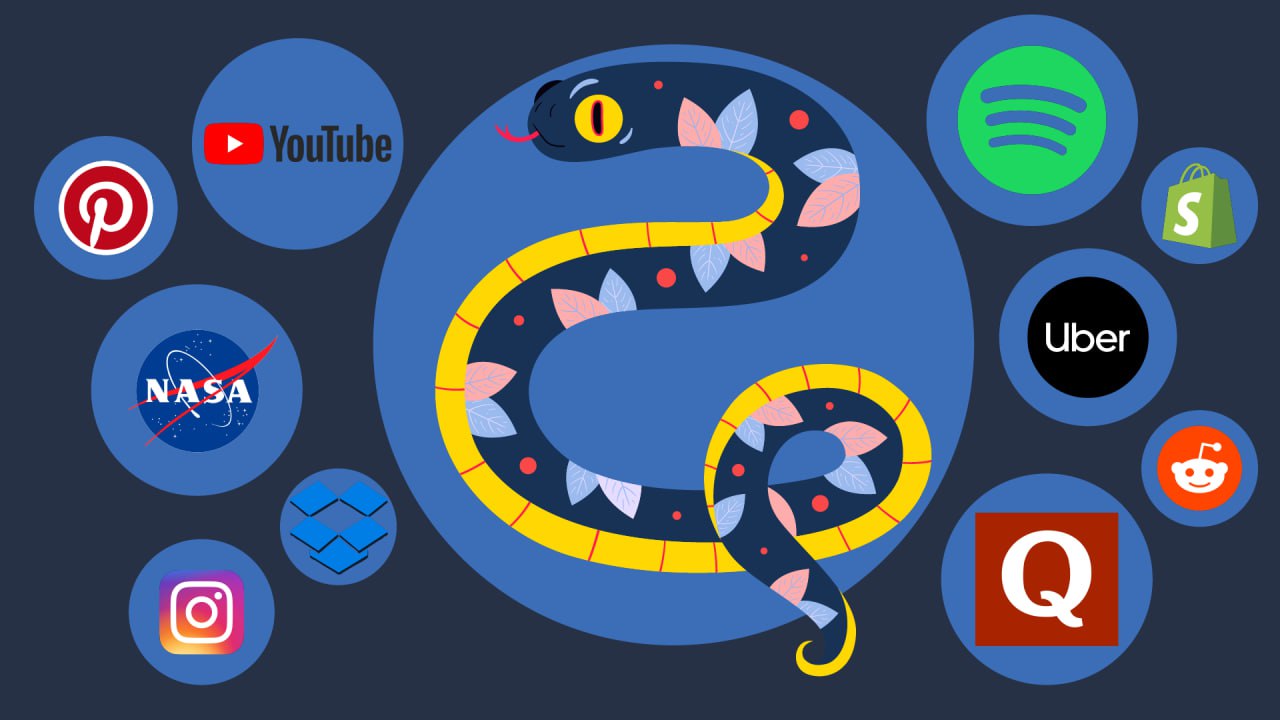Top 10 Popular Applications Built with Python